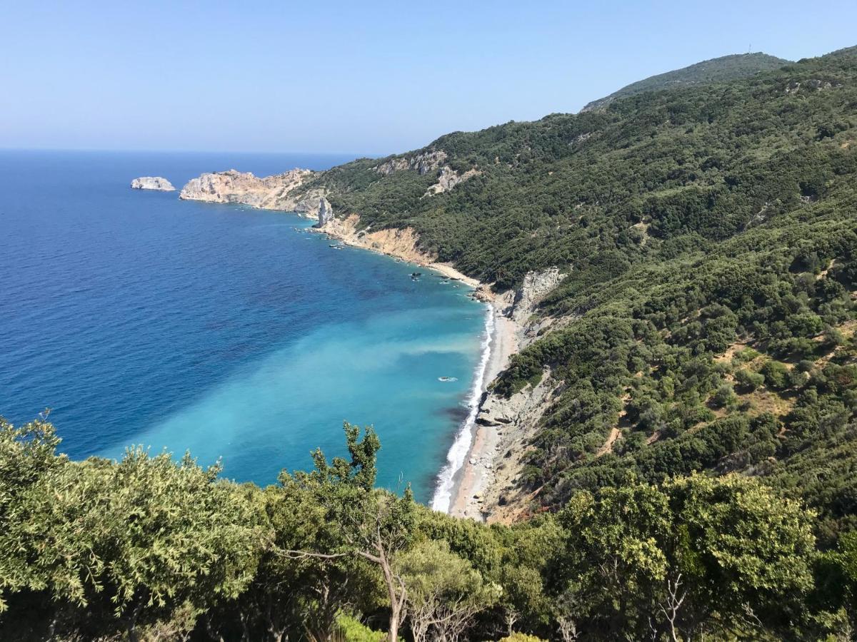 Meltemi Hotel Skiathos Town Bagian luar foto